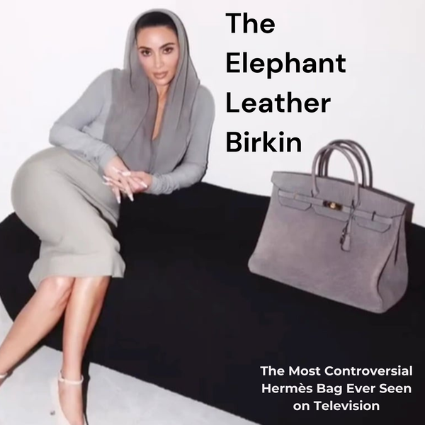 Privé Porter’s Guide To: The Elephant Leather Birkin — The Most Controversial Hermès Bag Ever Seen on Television
