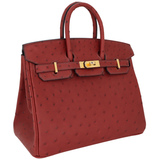 Hermès 25cm Birkin Rouge H Ostrich Gold Hardware